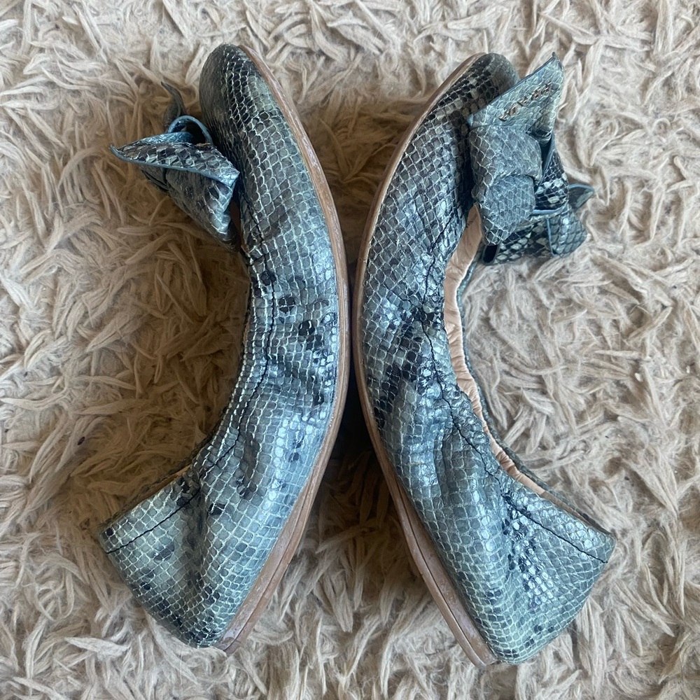 Prada Ballerinas / Flats Python Grey / Blue Size … - image 6
